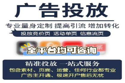 百度SEO推广成功案例：品牌知名度提升